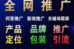 网站推广团队,团队协作与执行秘籍