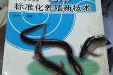 泥鳅黄鳝养殖技术,科学管理与高效盈利之道
